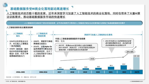 《德勤咨询 人工智能基础数据服务与软件开发白皮书》——构筑智能时代的基石