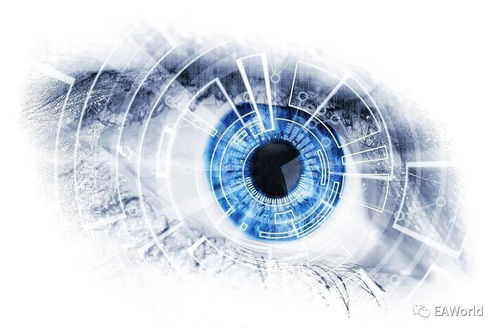 技术中台建设方法与关键设计 聚焦人工智能基础软件开发